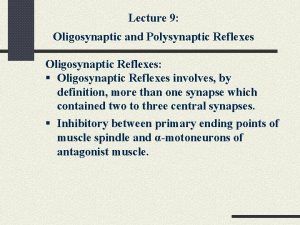 Lecture 9 Oligosynaptic and Polysynaptic Reflexes Oligosynaptic Reflexes