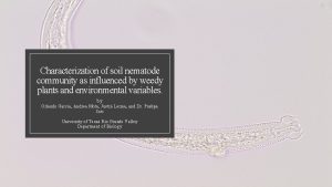 Characterization of soil nematode community as influenced by