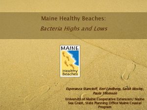 Maine healthy beaches