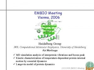 EMBIO Meeting Vienna 2006 Heidelberg Group IWR Computational