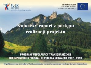 Kocowy raport z postpu realizacji projektu Wzr raportu