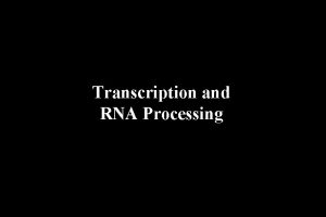 Transcription and RNA Processing OVERVIEW OF TRANSCRIPTION The