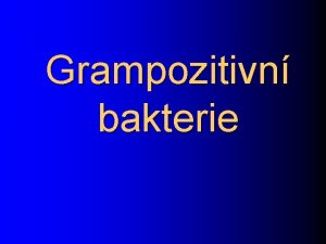 Grampozitivn bakterie Rod Staphylococcus Stafylokoky v souasn dob