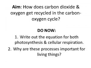 Aim How does carbon dioxide oxygen get recycled