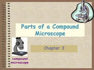 Parts of a Compound Microscope Chapter 3 Compound
