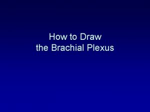 How to Draw the Brachial Plexus Directions This