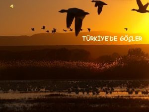 TRKYEDE GLER G nsanlarn yaadklar blgede mevsimlik veya