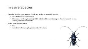 Invasive Species Invasive Species an organism that is