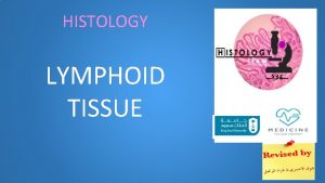 HISTOLOGY LYMPHOID TISSUE LYMPHOID TISSUE Objectives By the