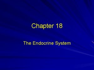 Chapter 18 The Endocrine System Endocrine system glands