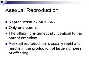 Asexual Reproduction by MITOSIS n Only one parent