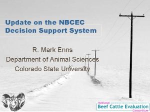 Update on the NBCEC Decision Support System R