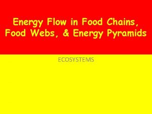 Energy Flow in Food Chains Food Webs Energy