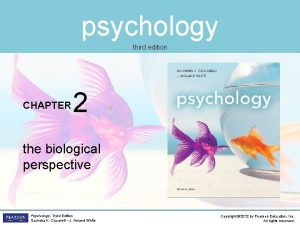 psychology third edition CHAPTER 2 the biological perspective