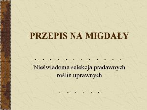 PRZEPIS NA MIGDAY Niewiadoma selekcja pradawnych rolin uprawnych