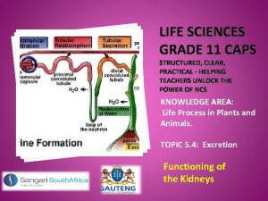 LIFE SCIENCES GRADE 11 CAPS STRUCTURED CLEAR PRACTICAL