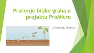 Praenje biljke graha u projektu Pro Micro O