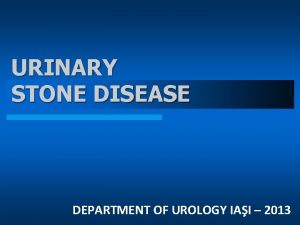 URINARY STONE DISEASE DEPARTMENT OF UROLOGY IAI 2013