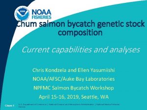 Chum salmon bycatch genetic stock composition Current capabilities