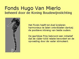 Fonds Hugo Van Mierlo beheerd door de Koning