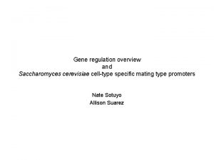 Gene regulation overview and Saccharomyces cerevisiae celltype specific