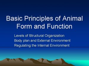 Basic Principles of Animal Form and Function Levels