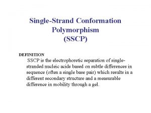 SingleStrand Conformation Polymorphism SSCP DEFINITION SSCP is the