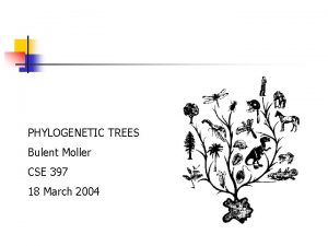 PHYLOGENETIC TREES Bulent Moller CSE 397 18 March