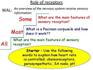 Role of receptors WAL An overview of the