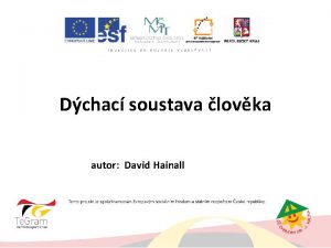 Dchac soustava lovka autor David Hainall Typy dchn