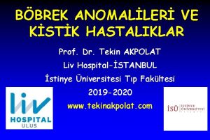 BBREK ANOMALLER VE KSTK HASTALIKLAR Prof Dr Tekin