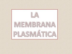 LA MEMBRANA PLASMTICA Colas hidrfobas Cabeza hidrfila ESTRUCTURA