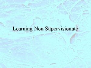 Learning Non Supervisionato LEARNING NON SUPERVISIONATO Non c