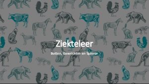 Ziekteleer Botten Gewrichten en Spieren Heupdysplasie Grotere honden