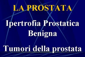 LA PROSTATA Ipertrofia Prostatica Benigna Tumori della prostata