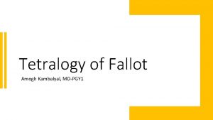Tetralogy of Fallot Amogh Kambalyal MDPGY 1 Anatomy