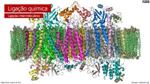 Ligao qumica Ligaes intermoleculares Miguel Neta janeiro de