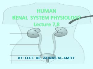 HUMAN RENAL SYSTEM PHYSIOLOGY Lecture 7 8 BY