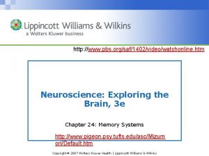 http www pbs orgsaf1402videowatchonline htm Neuroscience Exploring the