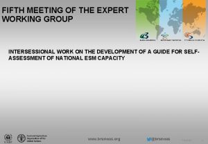 FIFTH MEETING OF THE EXPERT WORKING GROUP INTERSESSIONAL