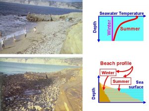 Winter Depth Seawater Temperature Summer Beach profile Depth