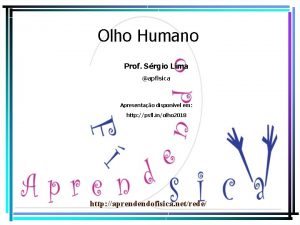 Olho Humano Prof Srgio Lima apfisica Apresentao disponvel