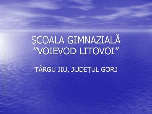 COALA GIMNAZIAL VOIEVOD LITOVOI T RGU JIU JUDEUL