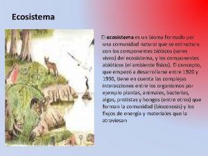 Ecosistema El ecosistema es un bioma formado por