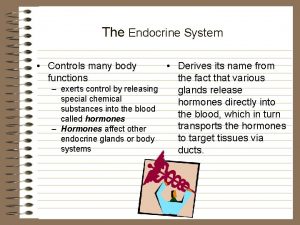 The Endocrine System Controls many body functions Derives