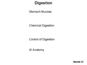 Digestion Stomach Mucosa Chemical Digestion Control of Digestion