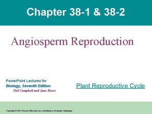 Chapter 38 1 38 2 Angiosperm Reproduction Power