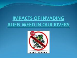 IMPACTS OF INVADING ALIEN WEED IN OUR RIVERS