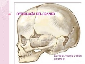 OSTEOLOGA DEL CRANEO Daniela Asenjo Leitn UCIMED El