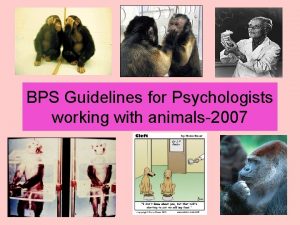 Guidelines for psychologists working with animals